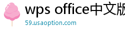 wps office中文版